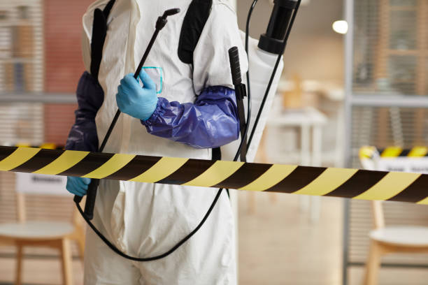 Professional Odor Removal technician working in Evansville, WI